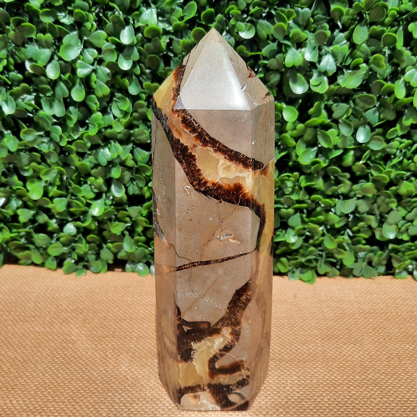 Septarian Generator