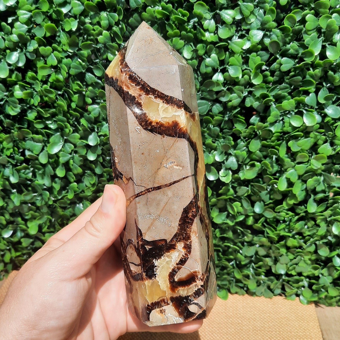 Septarian Generator