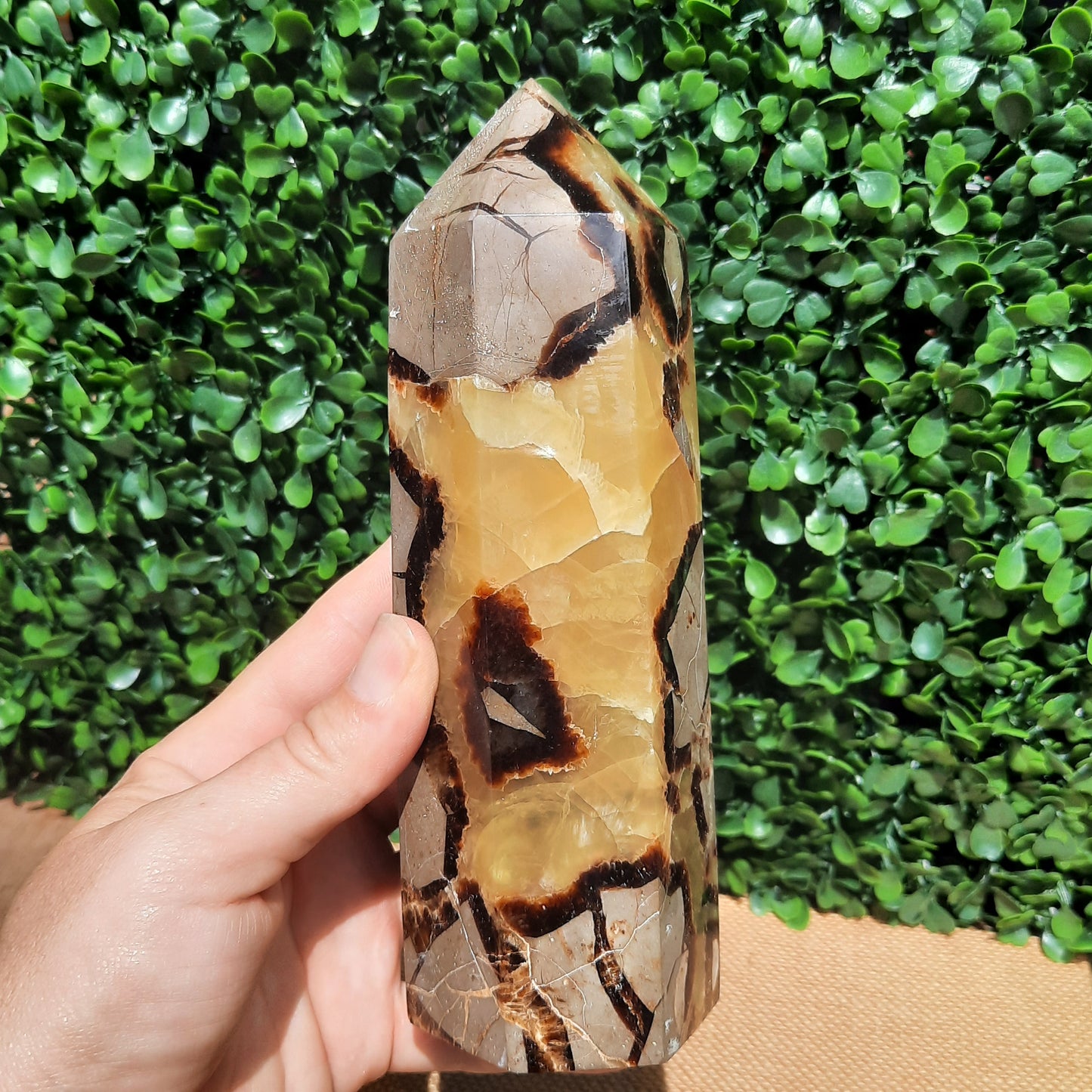 Septarian Generator