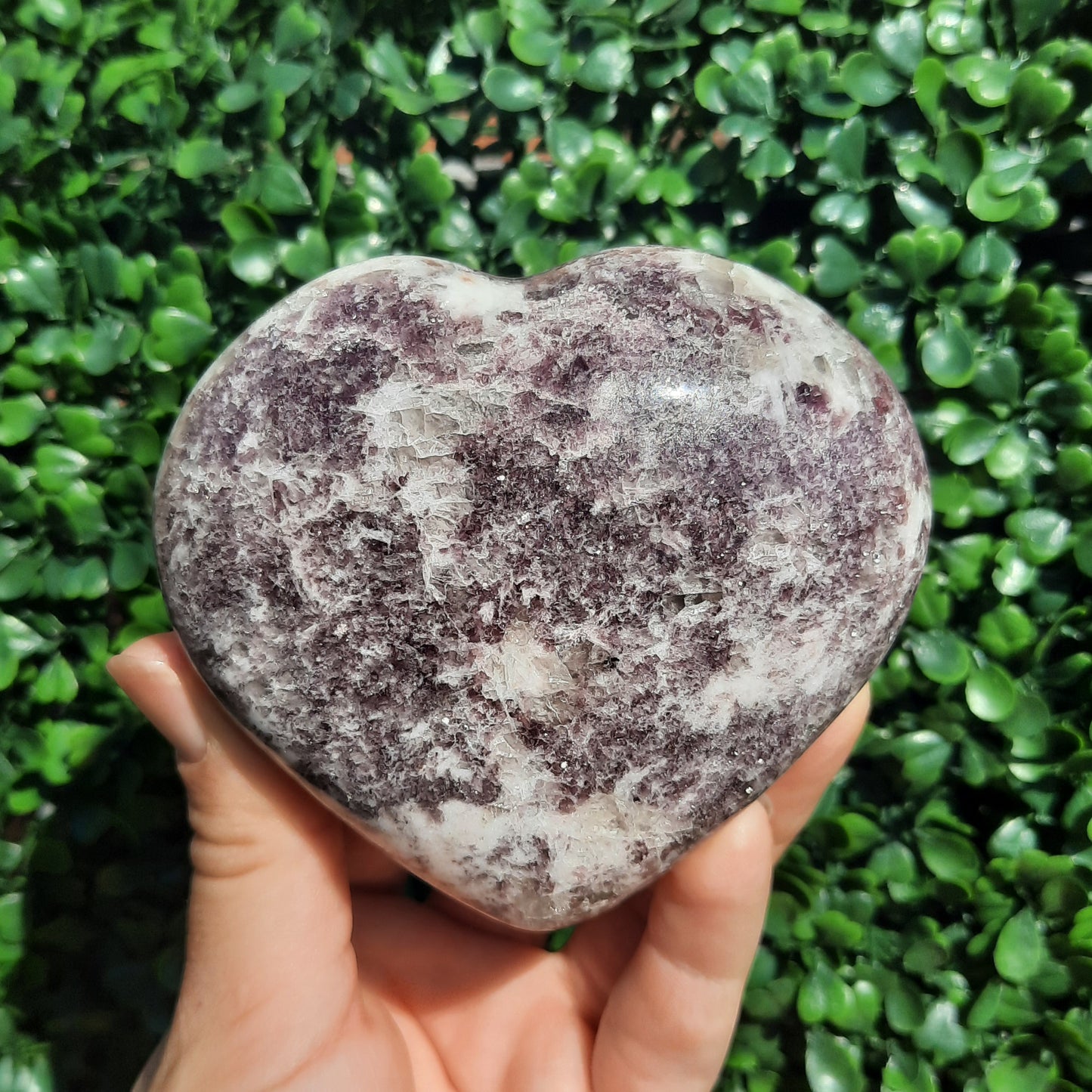 Lepidolite White Quartz Heart
