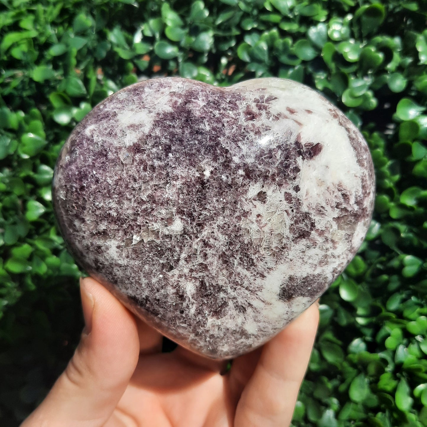 Lepidolite White Quartz Heart