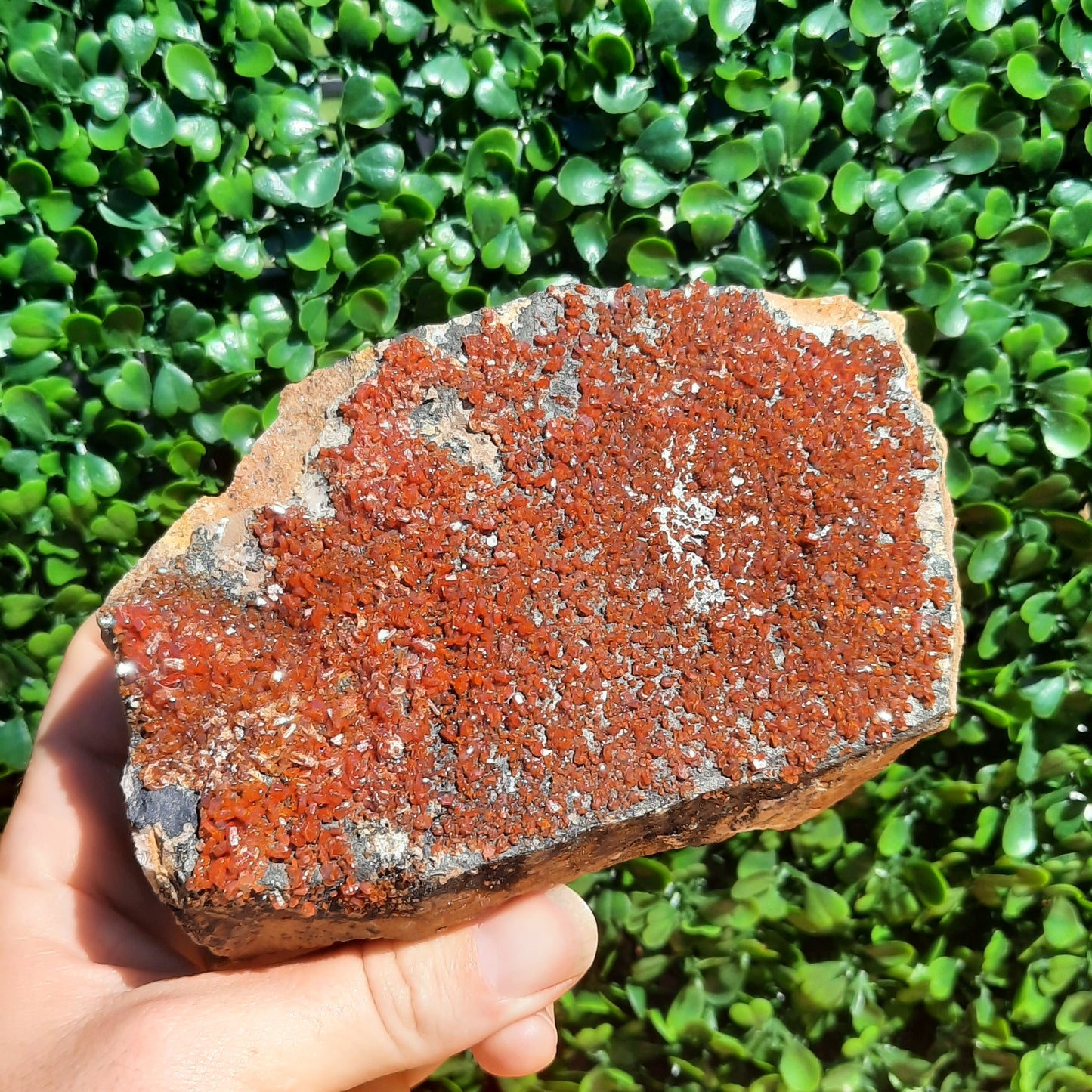 Vanadinite Specimen