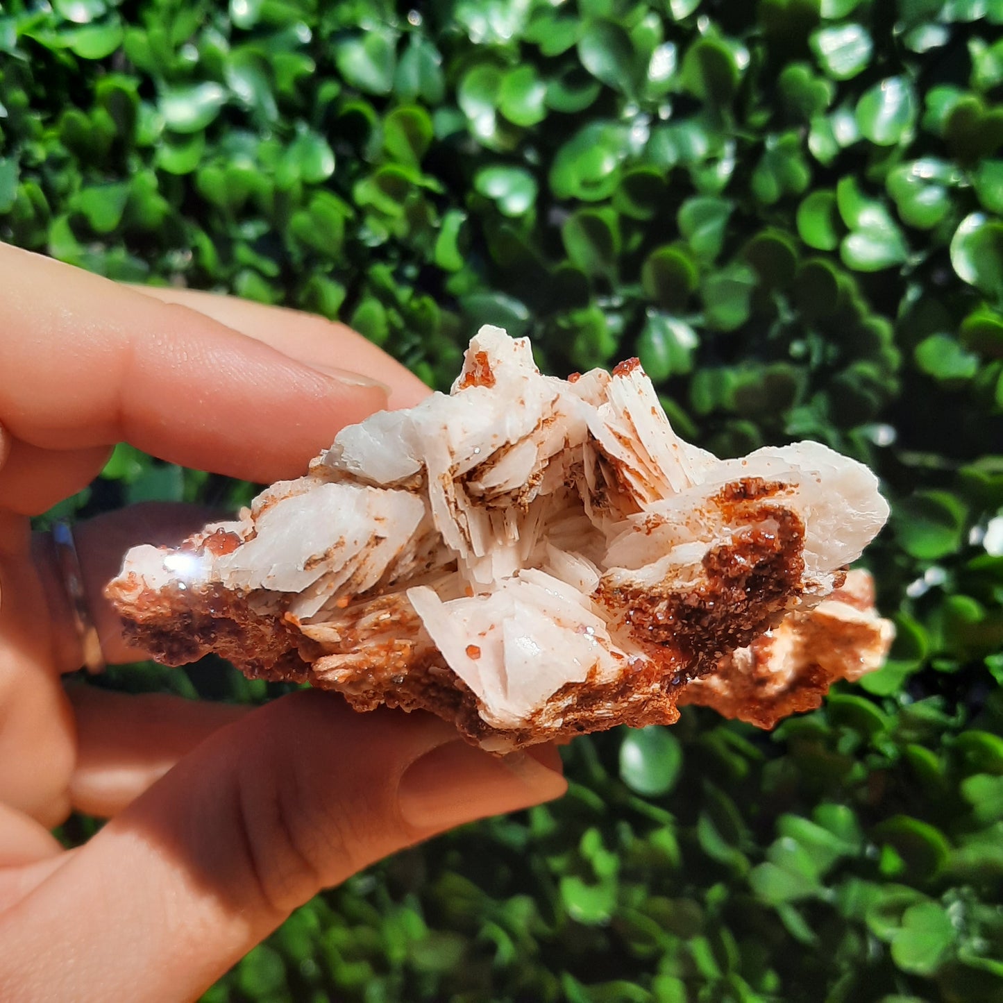 Vanadinite Specimen