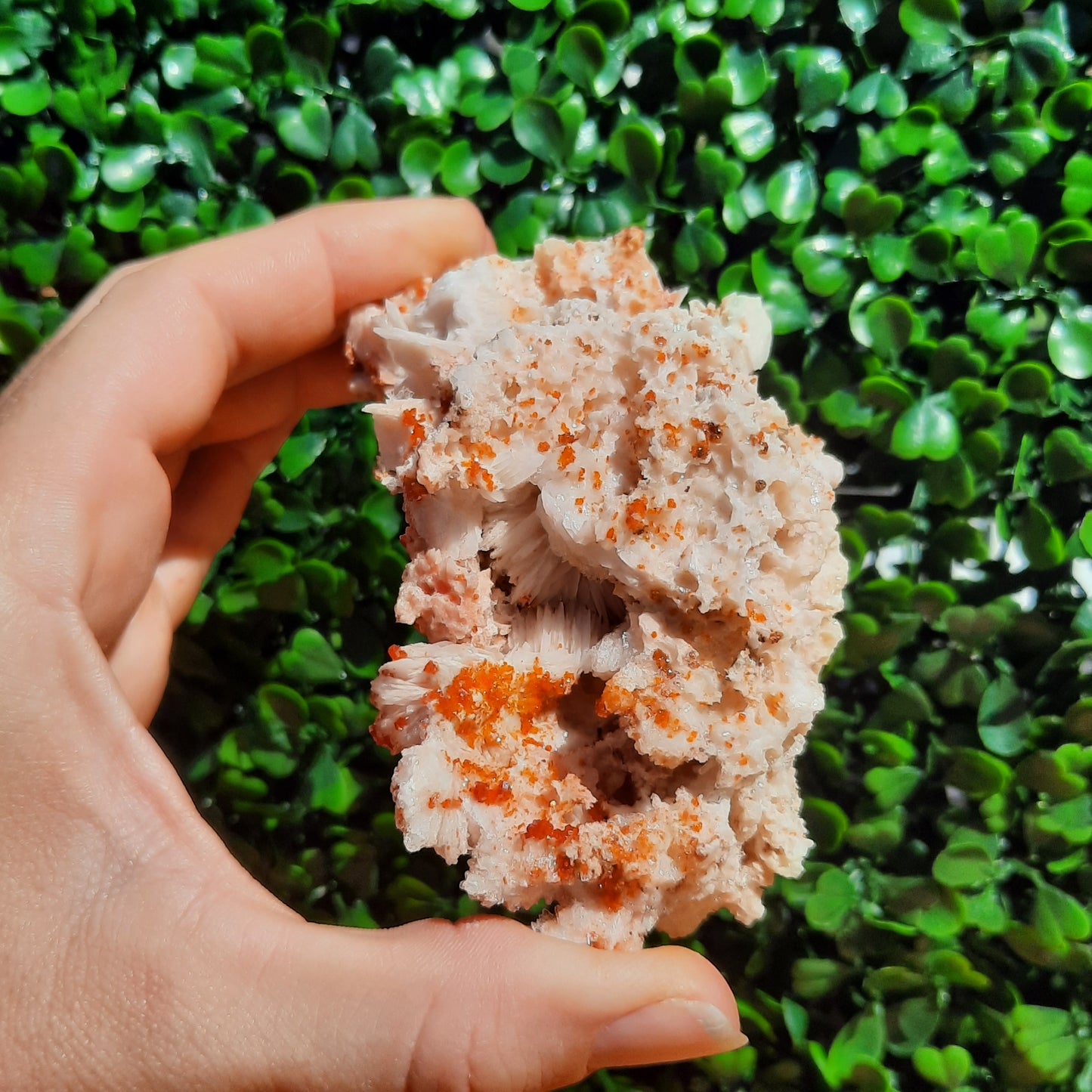 Vanadinite Specimen