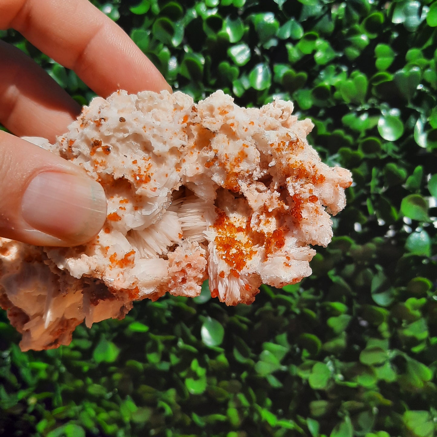 Vanadinite Specimen