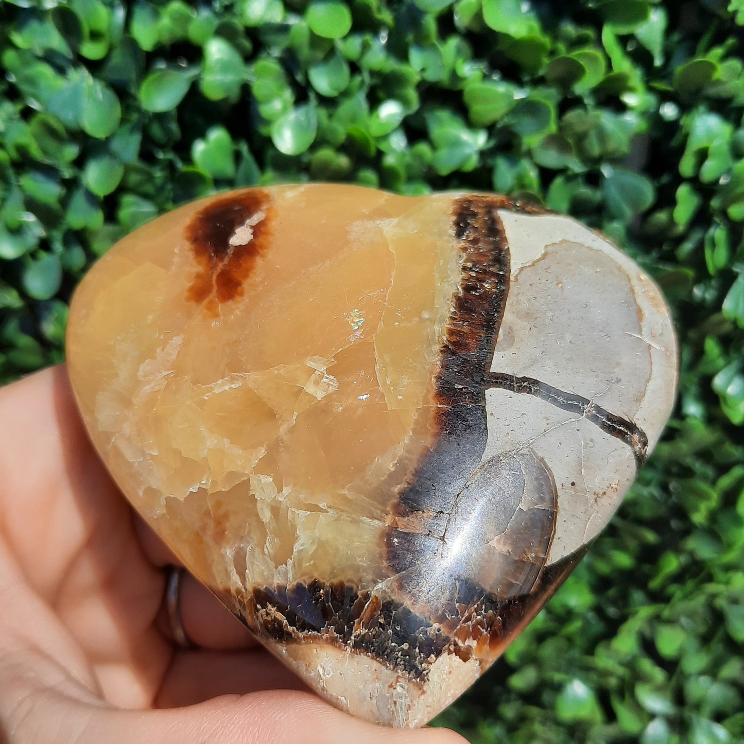 Septarian Yellow Calcite Heart
