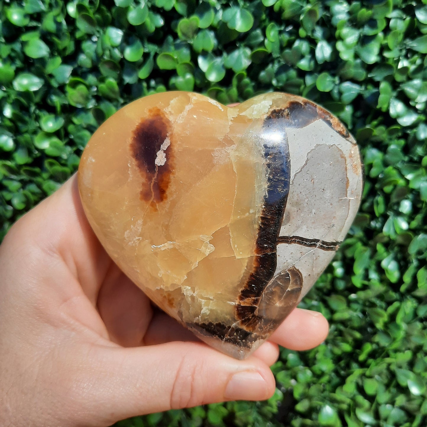 Septarian Yellow Calcite Heart