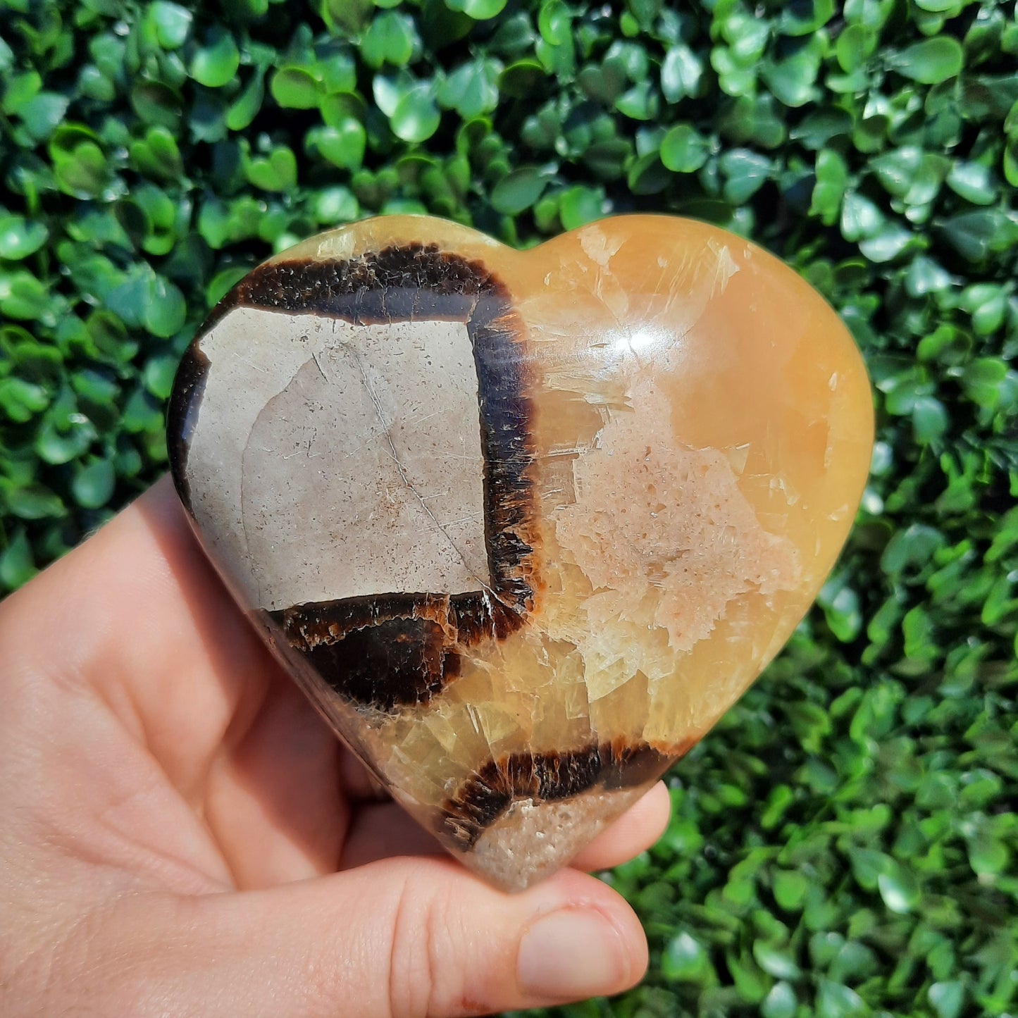 Septarian Yellow Calcite Heart