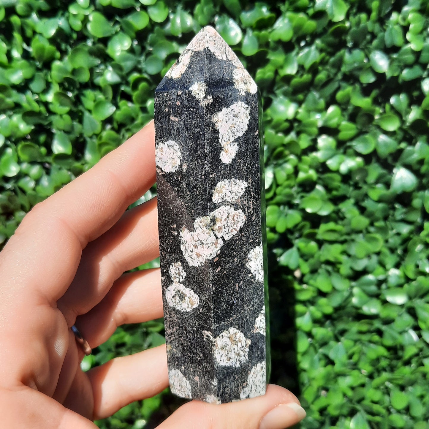 Pink Thulite In Black Jade Point