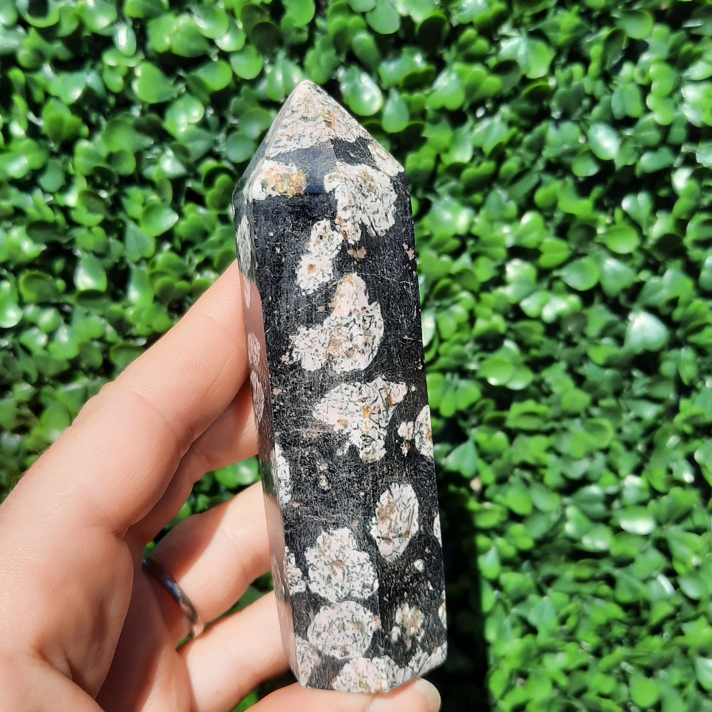 Pink Thulite In Black Jade Point