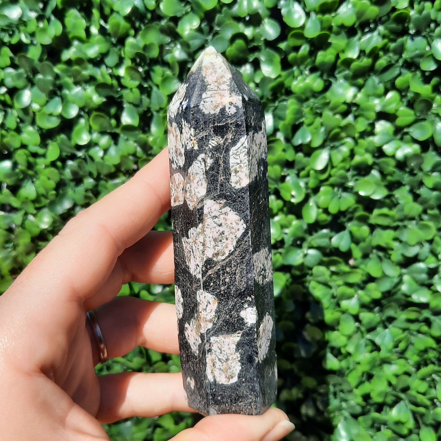 Pink Thulite In Black Jade Point