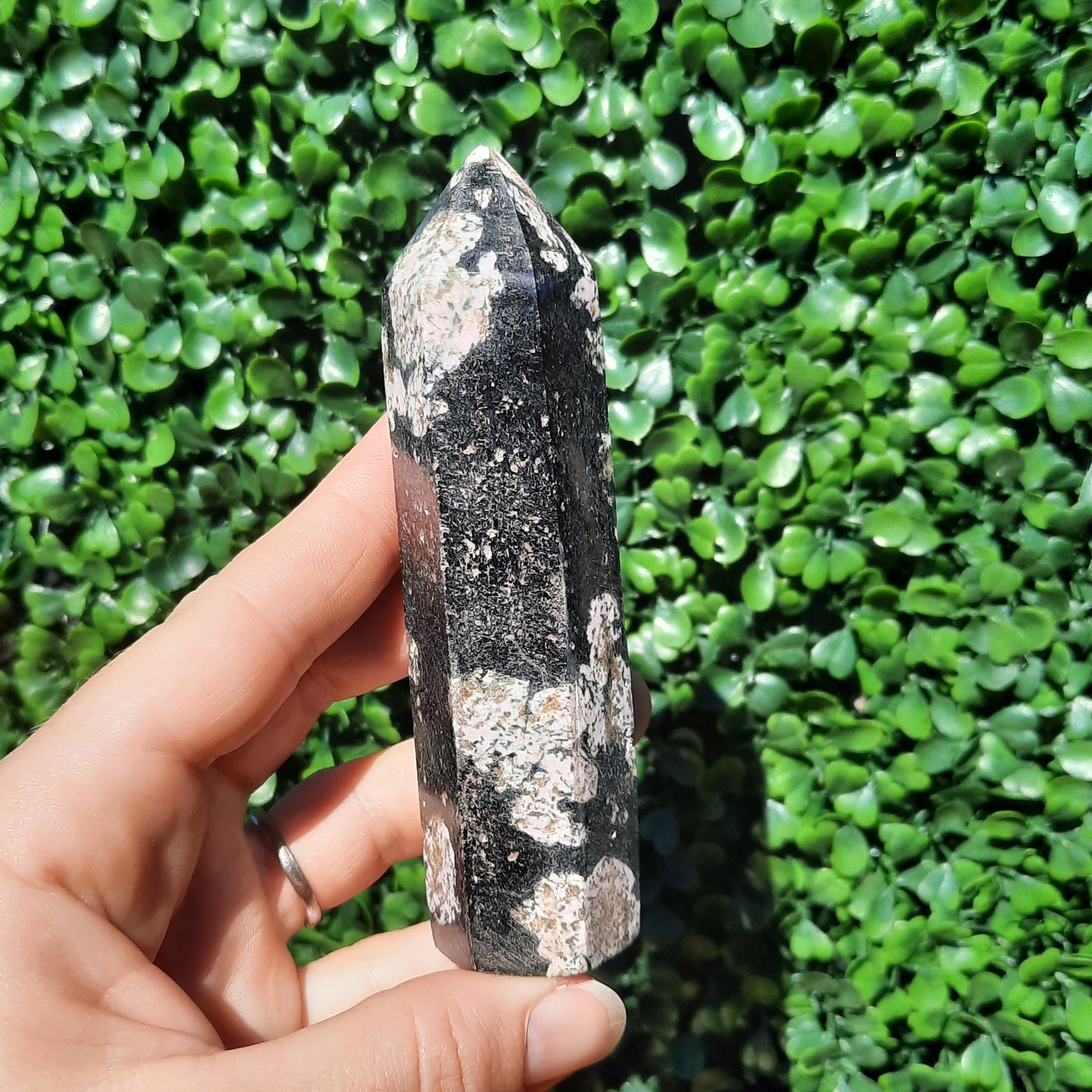 Pink Thulite In Black Jade Point