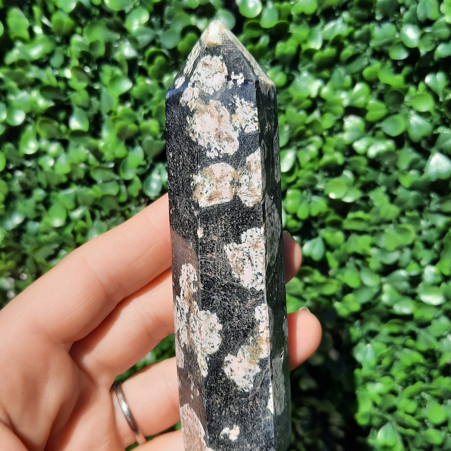 Pink Thulite In Black Jade Point