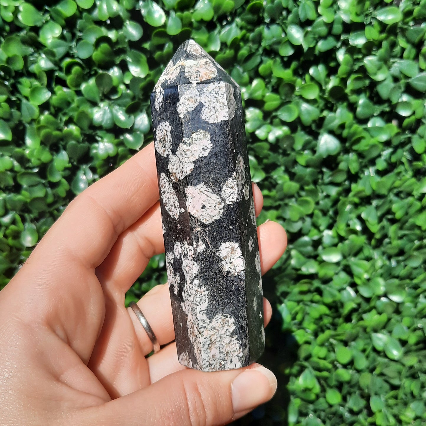 Pink Thulite In Black Jade Point