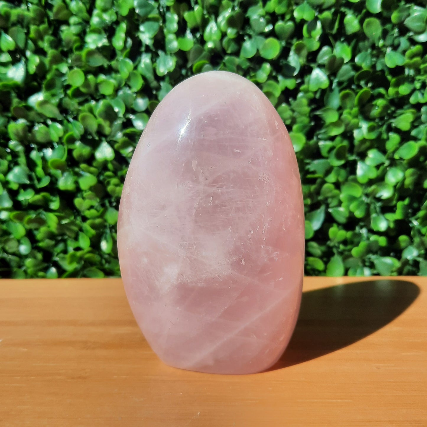 Rose Quartz Free Form