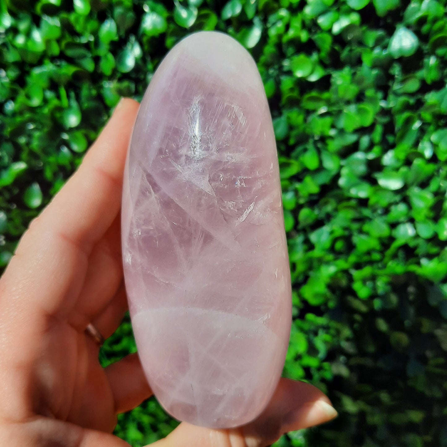 Rose Quartz Free Form