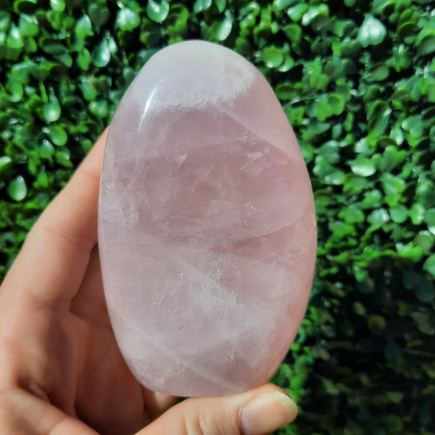 Rose Quartz Free Form