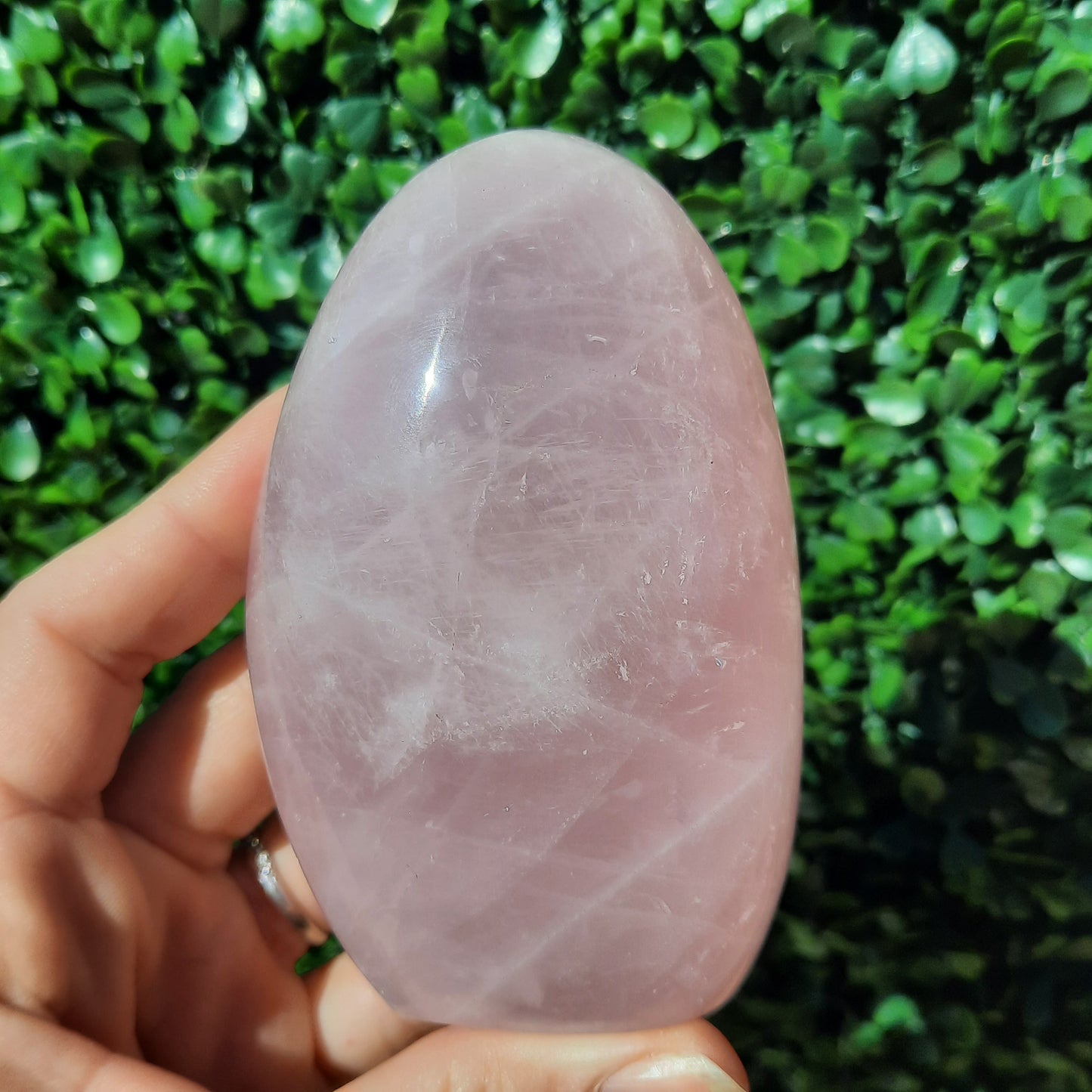 Rose Quartz Free Form