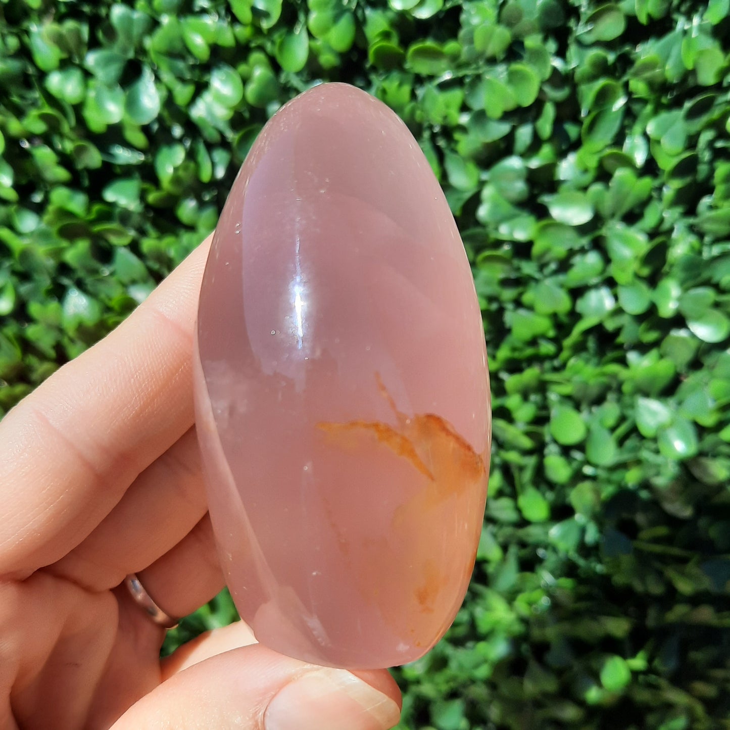 Rose Quartz Free Form