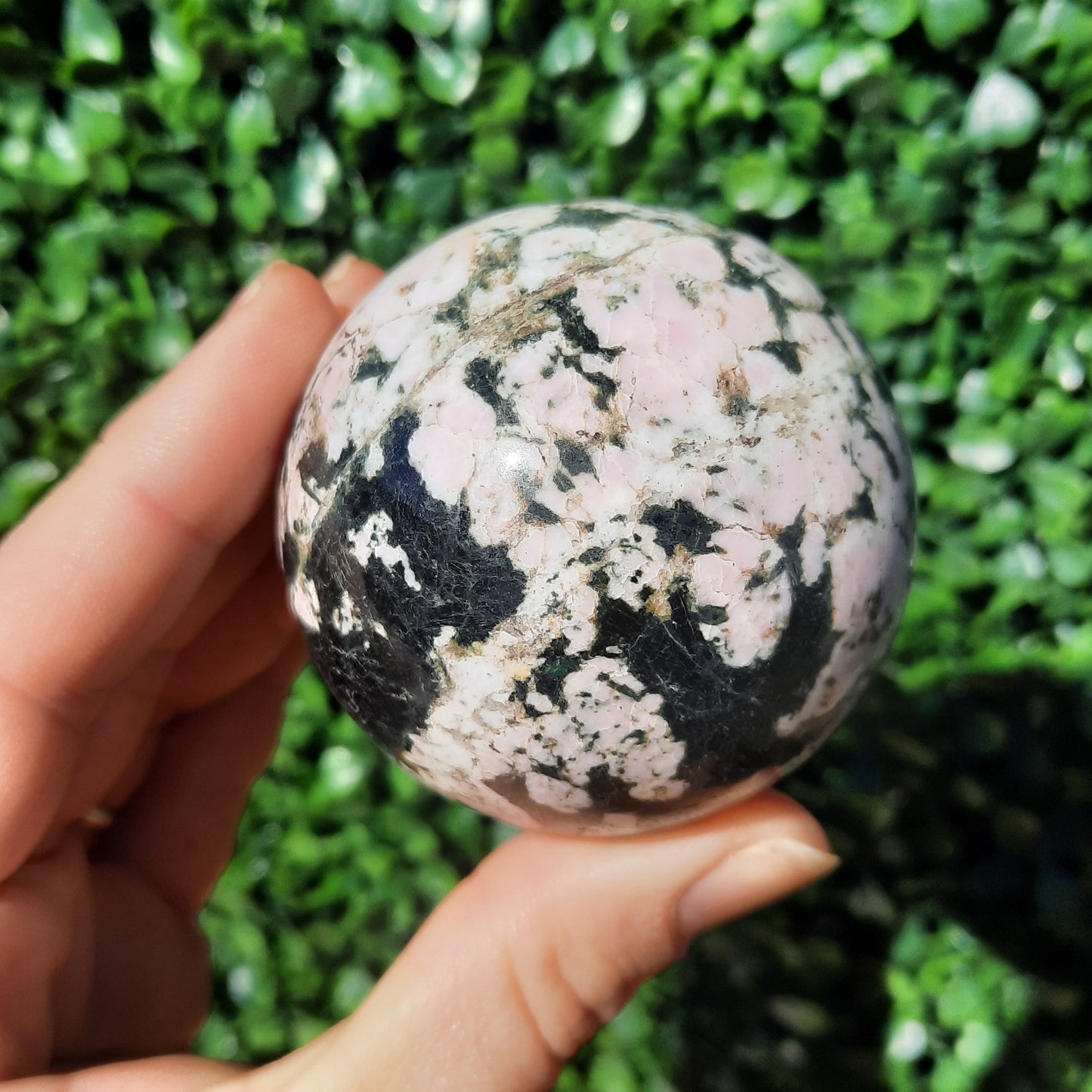 Pink Thulite In Black Jade Sphere