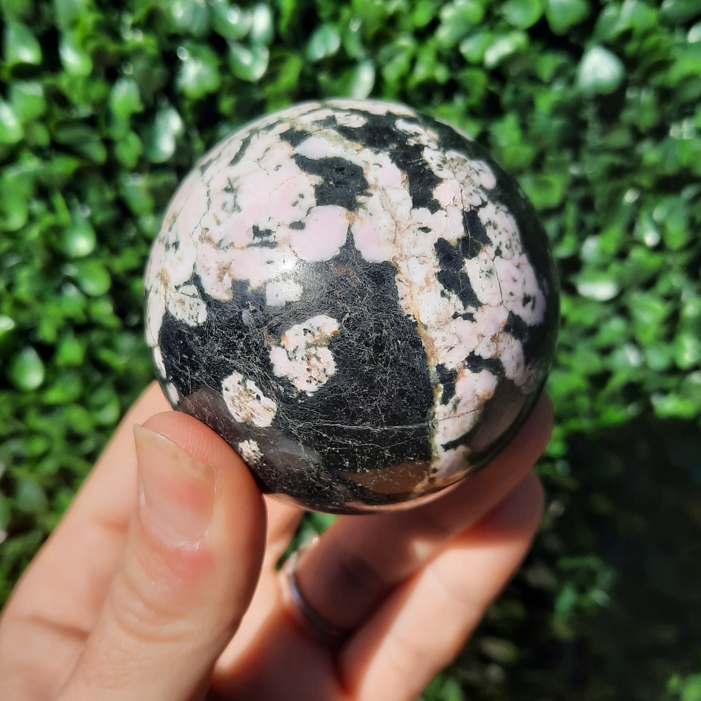Pink Thulite In Black Jade Sphere