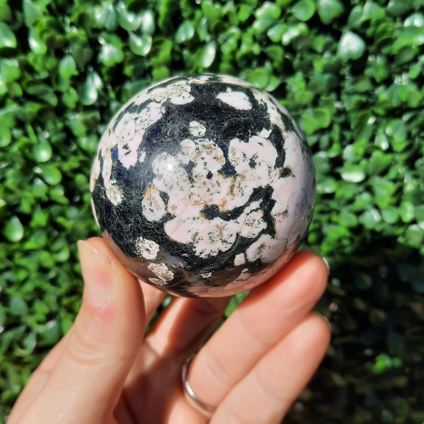 Pink Thulite In Black Jade Sphere