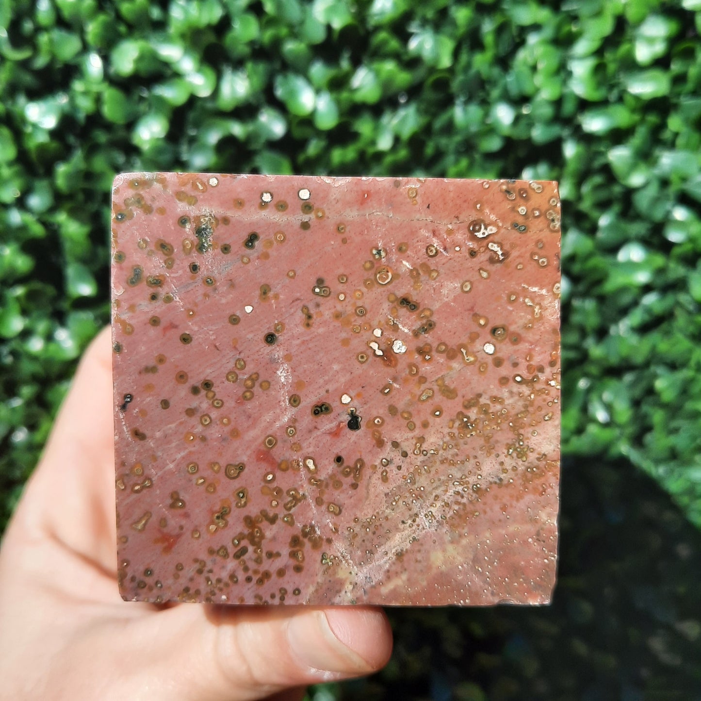 Ocean Jasper Cube