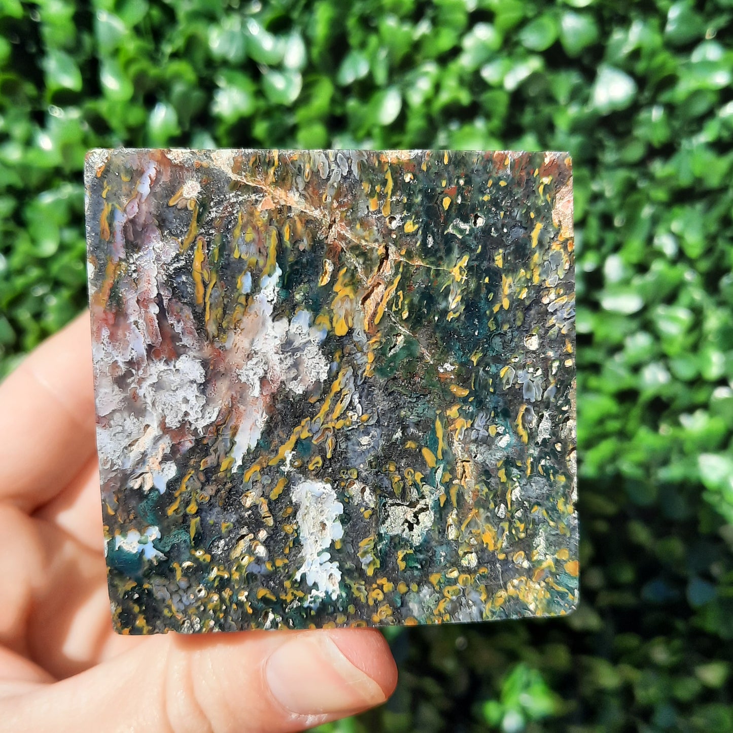 Ocean Jasper Cube