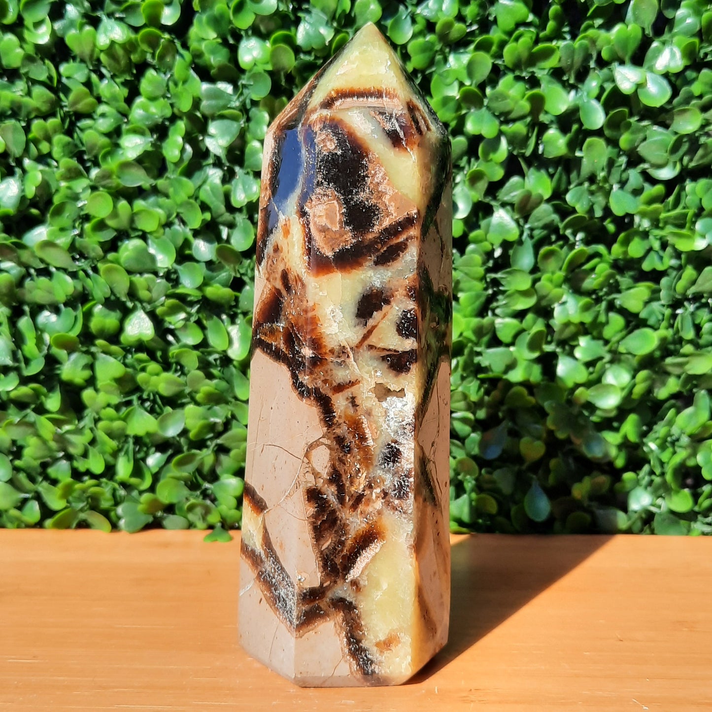 Septarian Generator