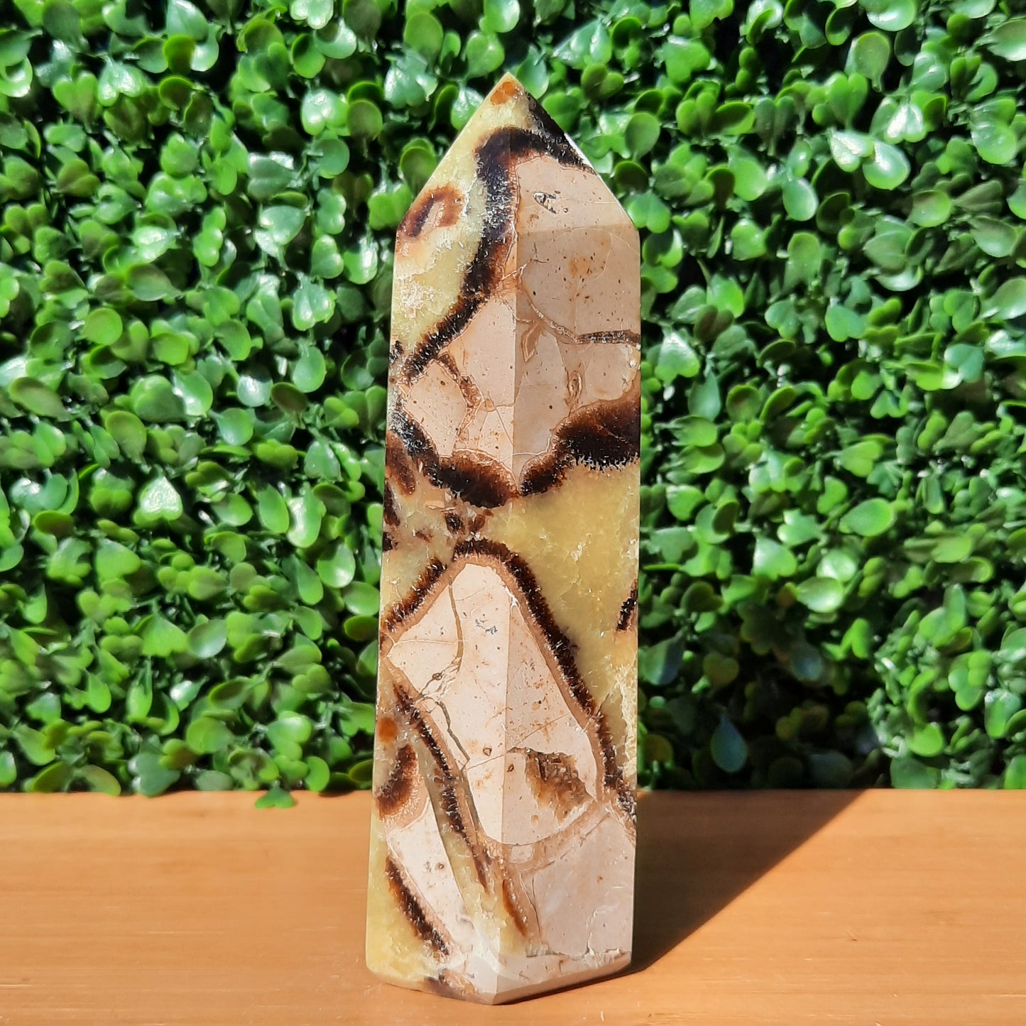 Septarian Generator