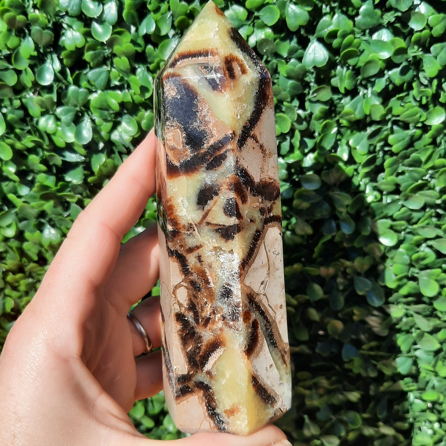 Septarian Generator