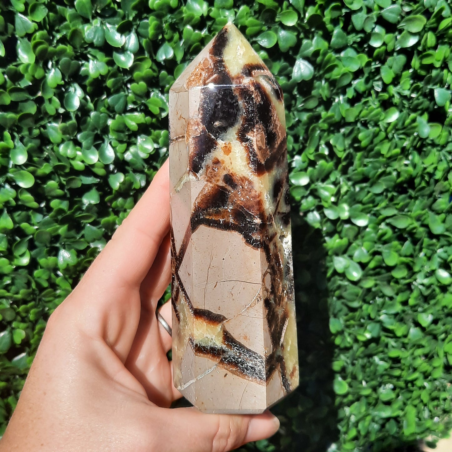 Septarian Generator