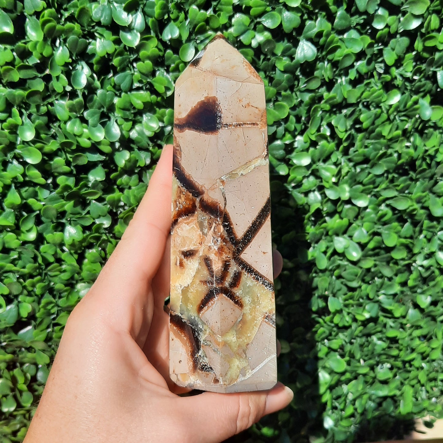 Septarian Generator