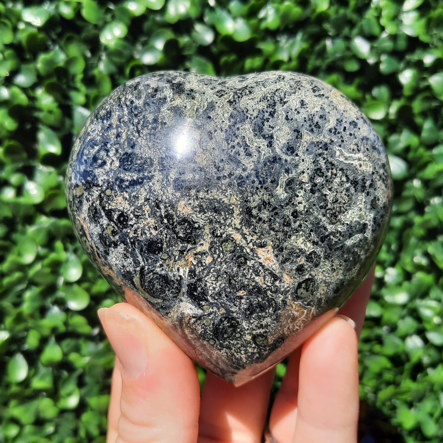 Kambaba Jasper Heart