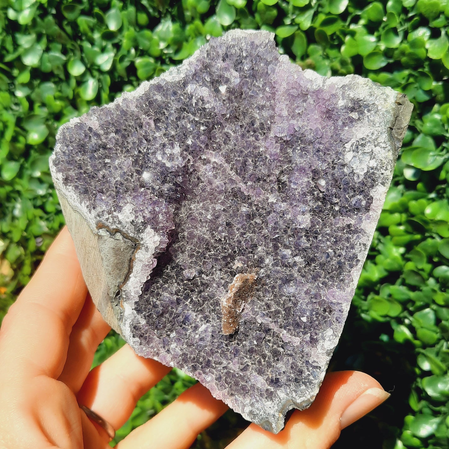 Amethyst Geode