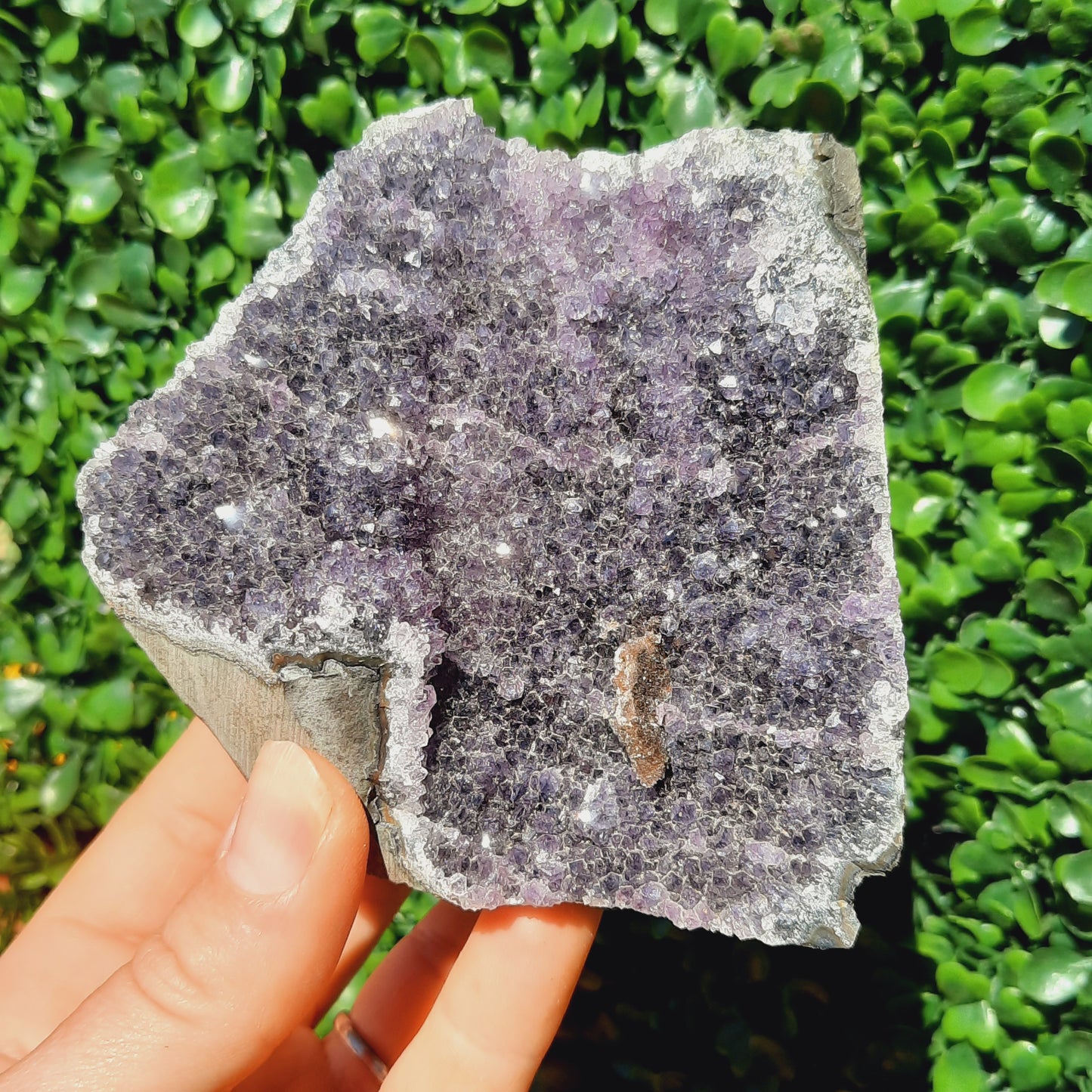 Amethyst Geode