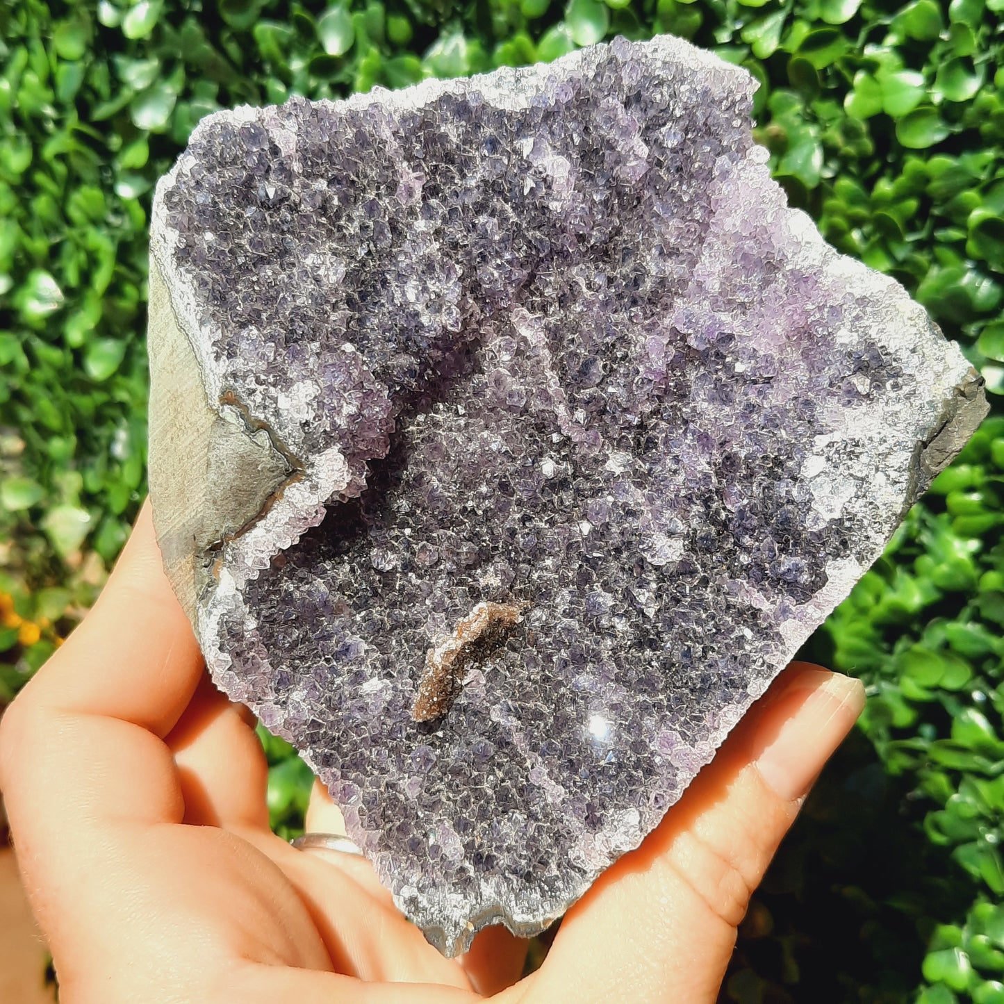 Amethyst Geode