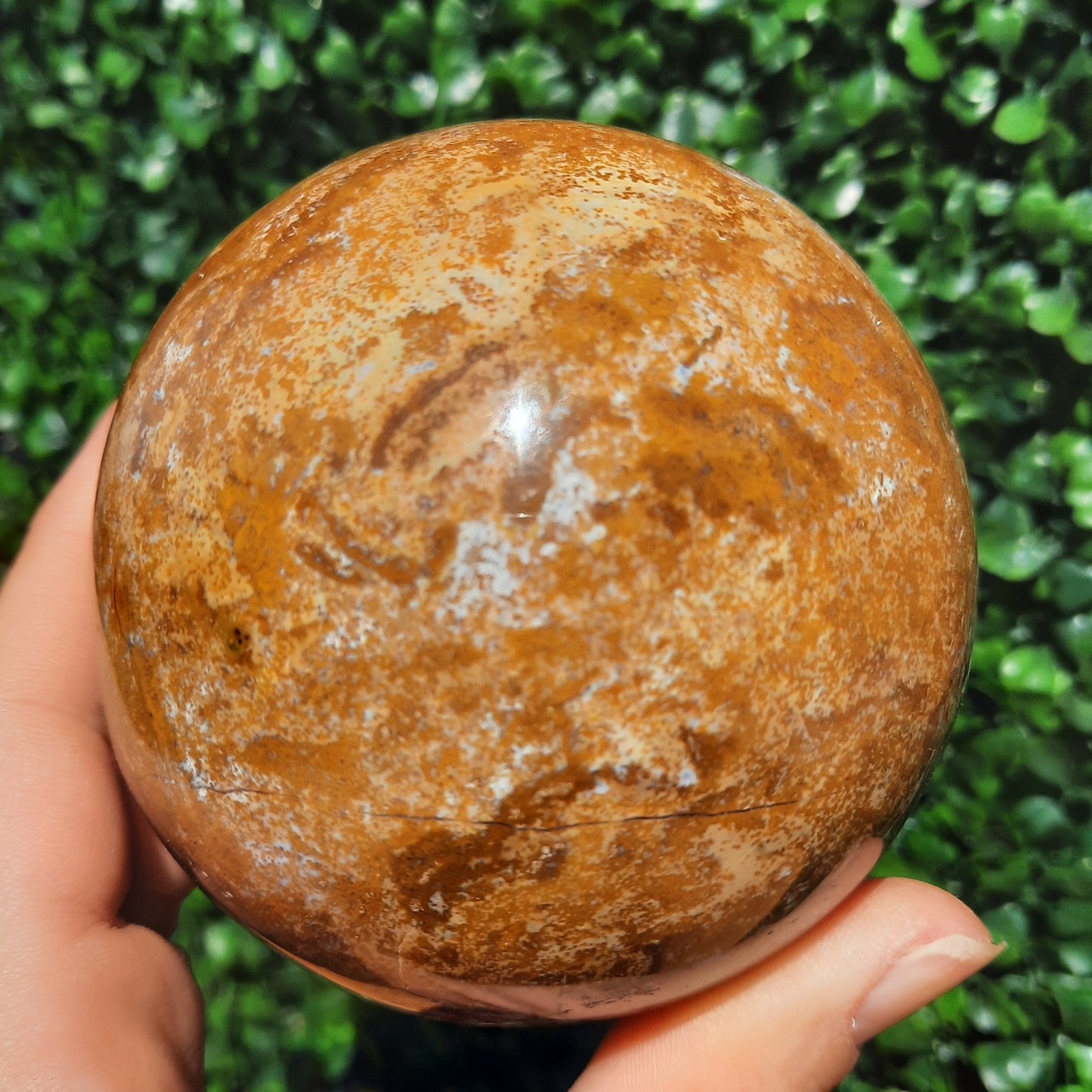 Ocean Jasper Sphere