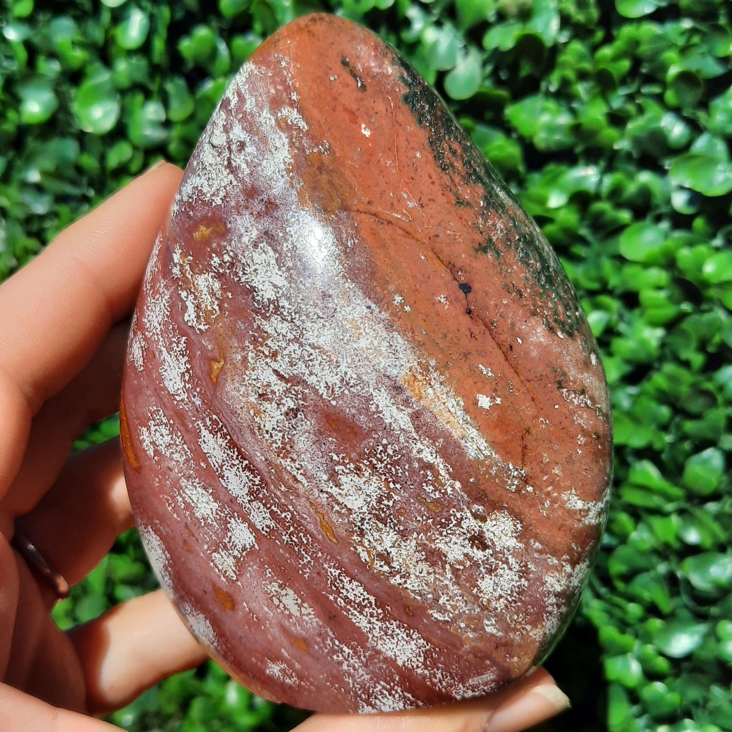 Ocean Jasper Free Form