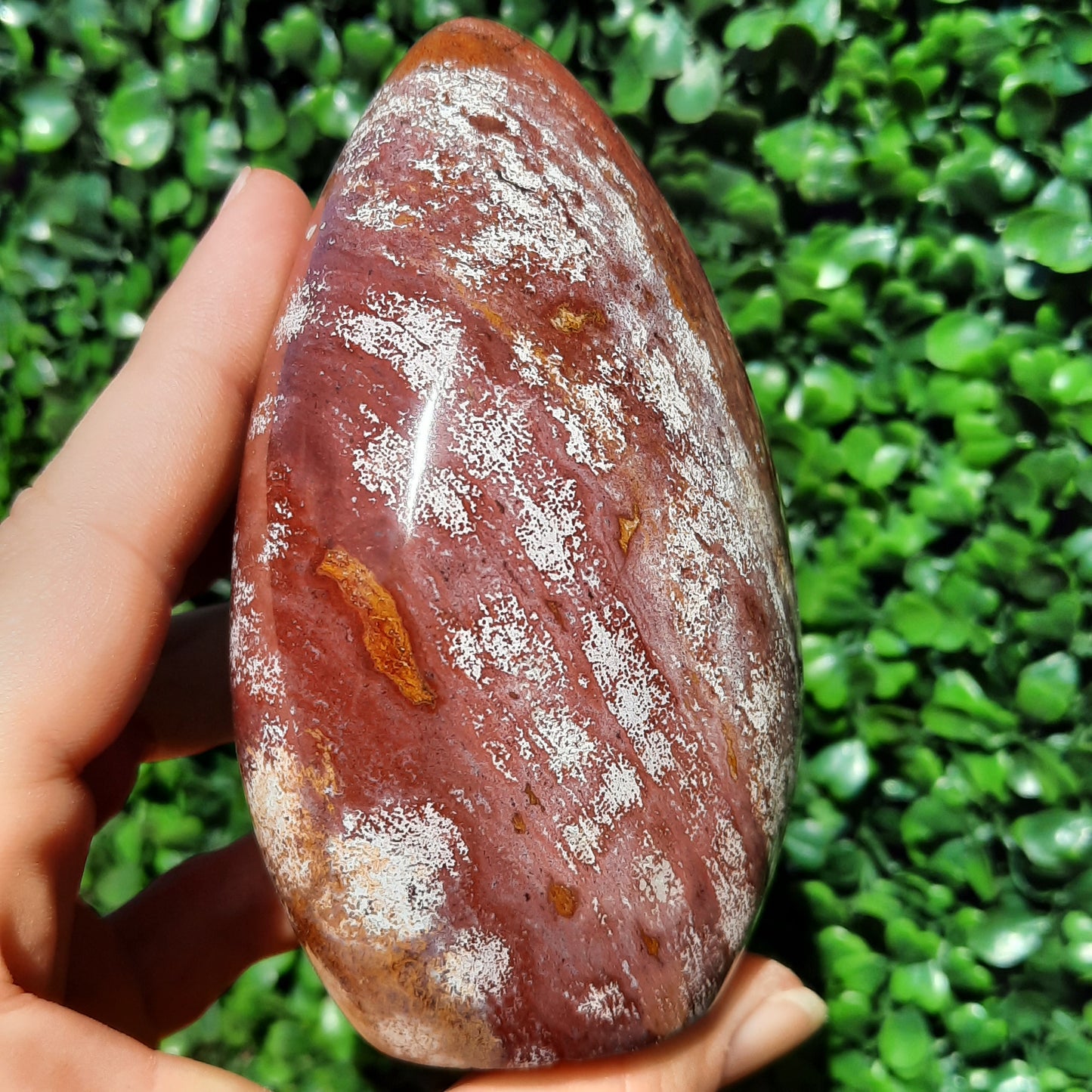 Ocean Jasper Free Form
