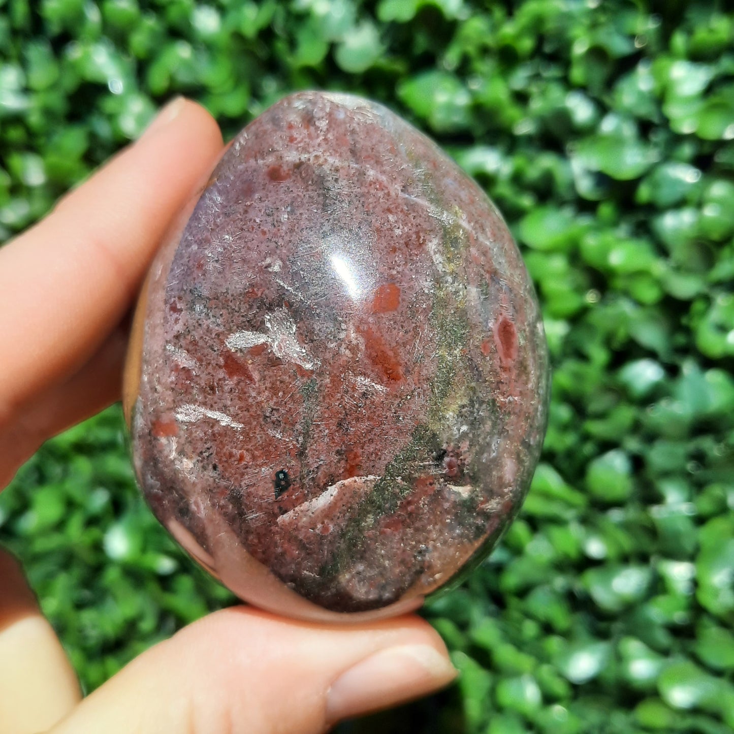 Ocean Jasper Egg