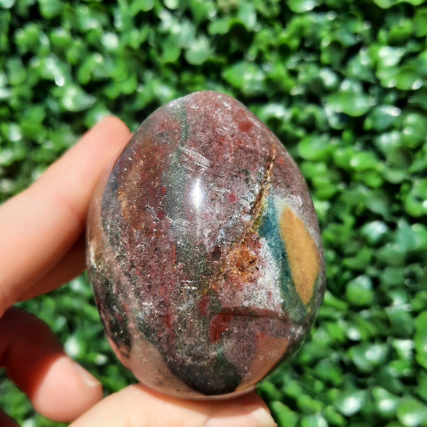 Ocean Jasper Egg
