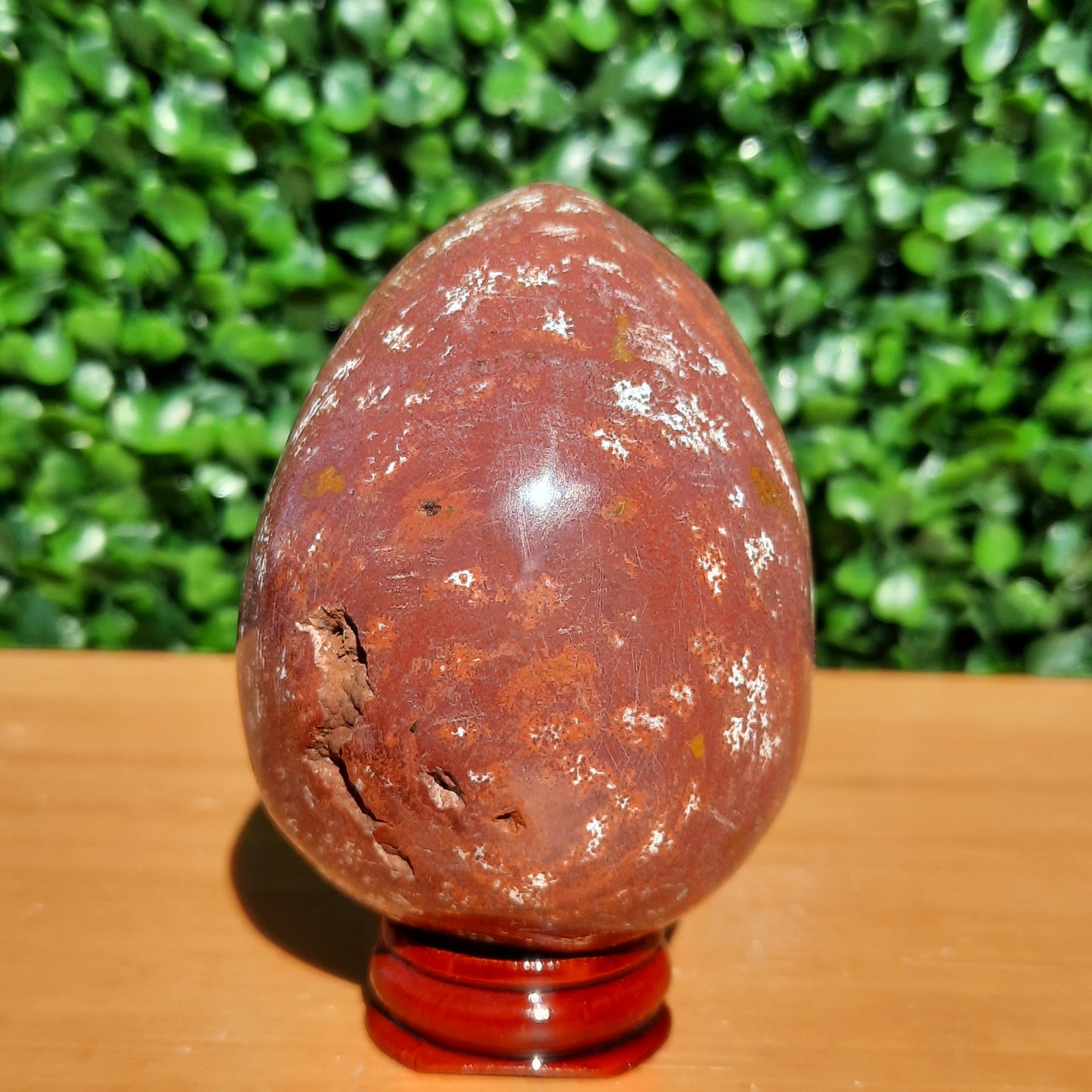 Ocean Jasper Egg
