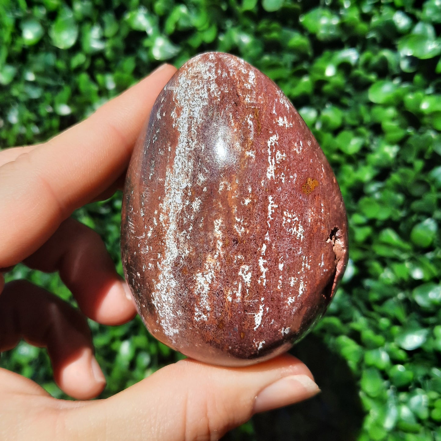 Ocean Jasper Egg