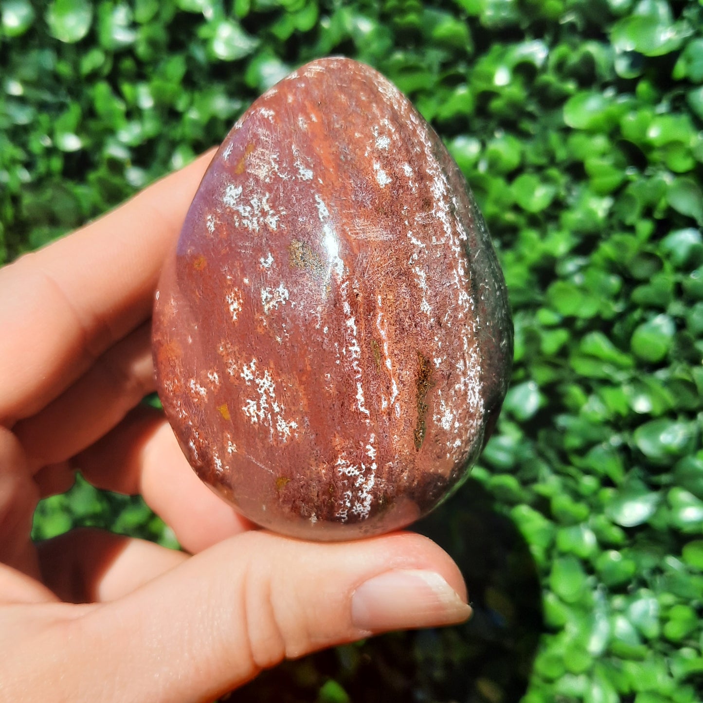 Ocean Jasper Egg