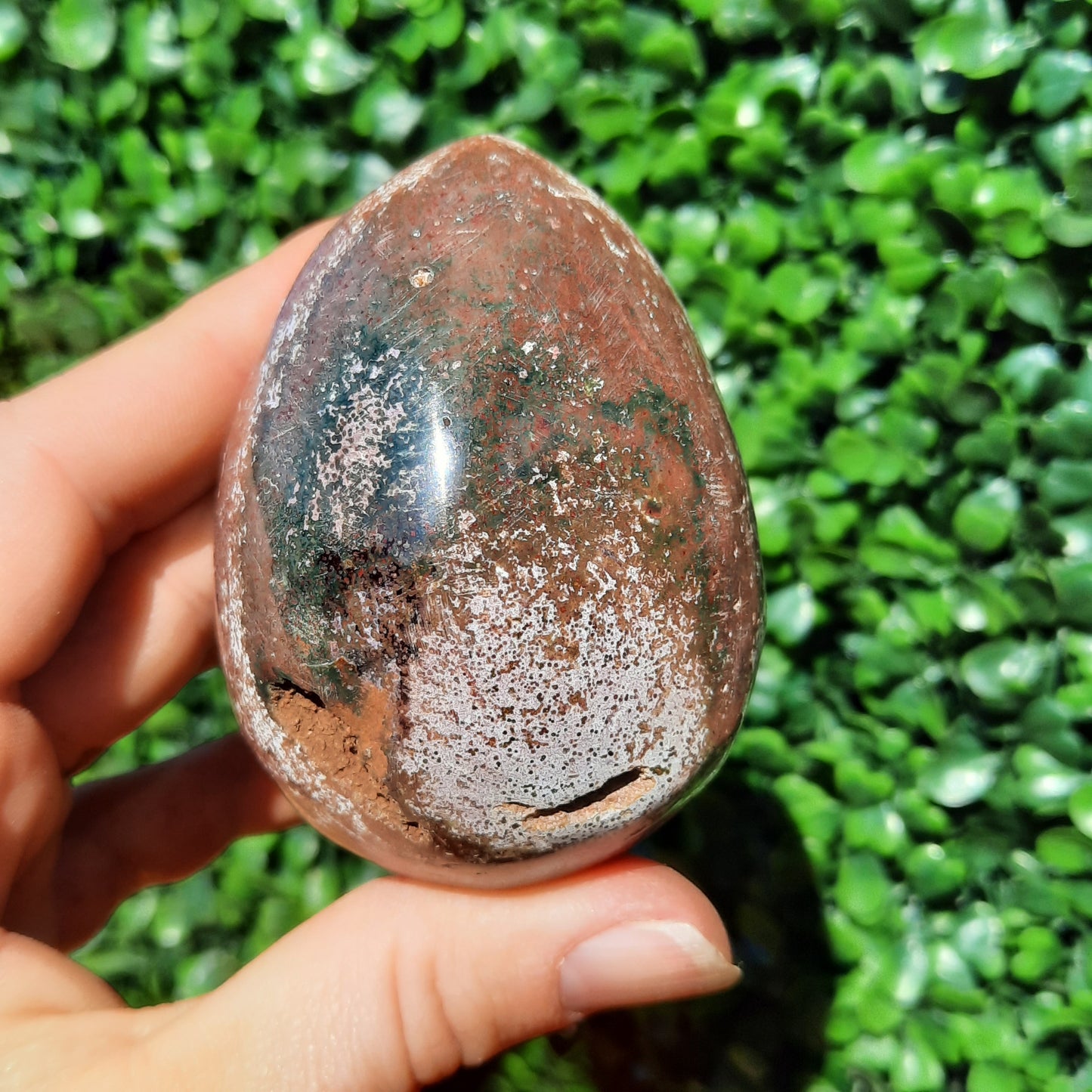 Ocean Jasper Egg