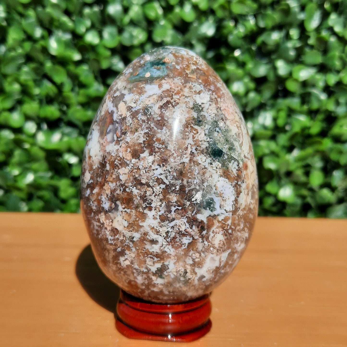 Ocean Jasper Egg