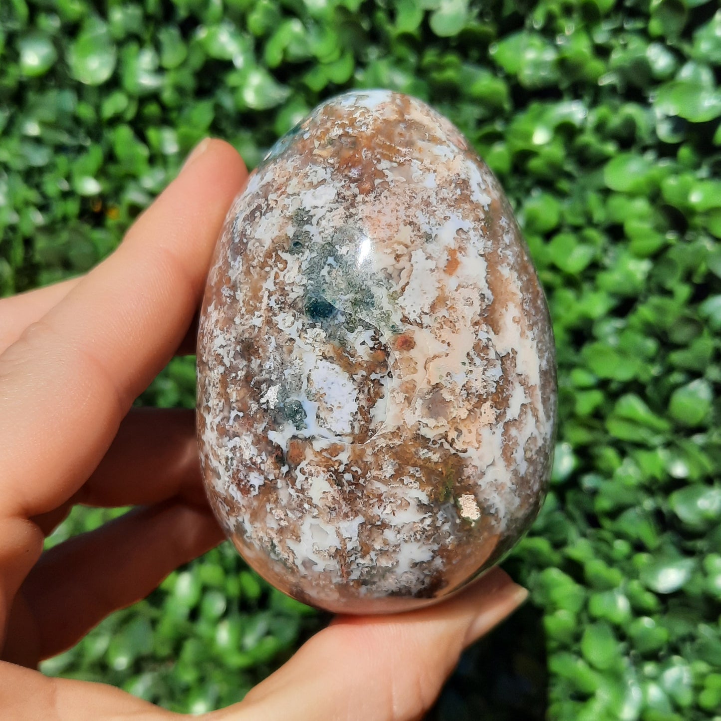Ocean Jasper Egg