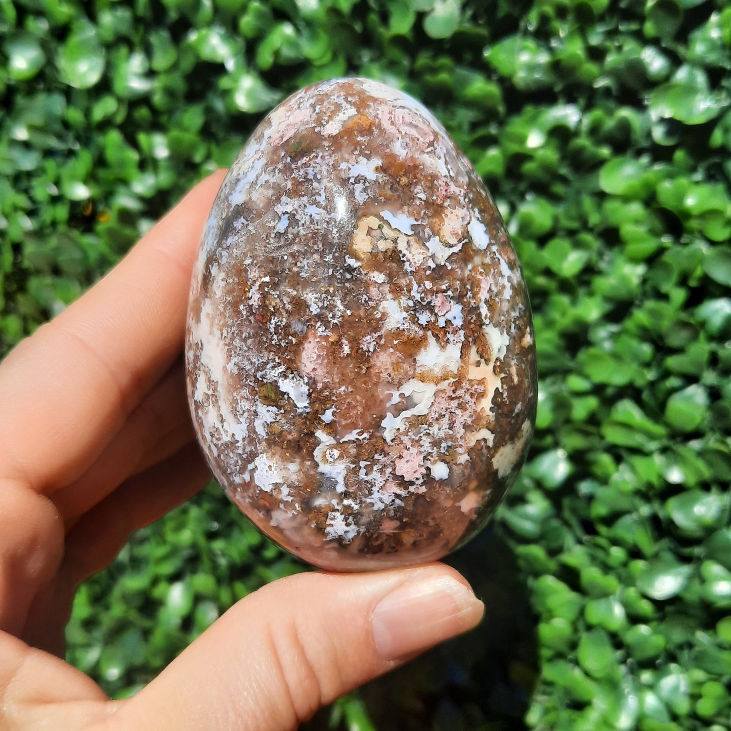 Ocean Jasper Egg