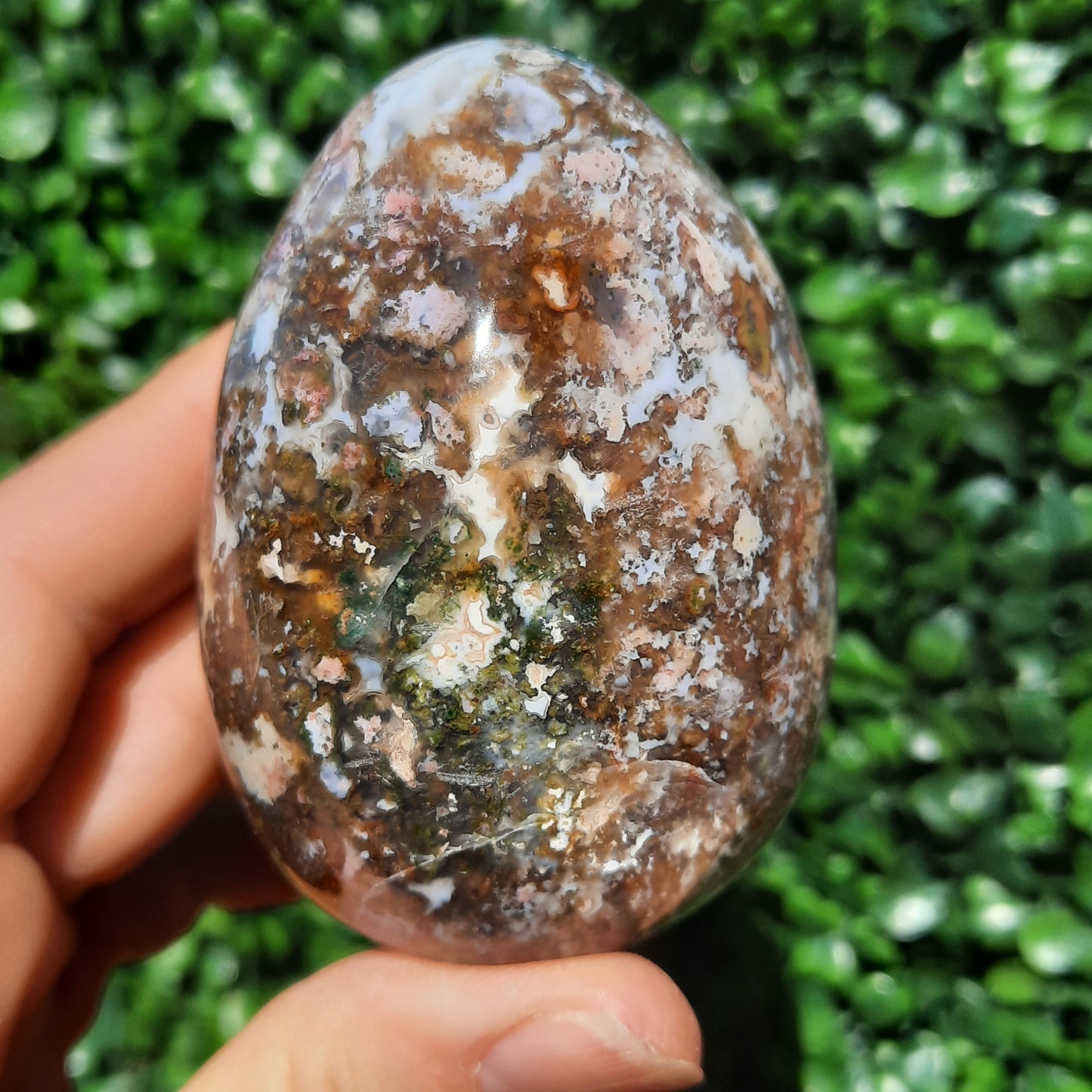 Ocean Jasper Egg